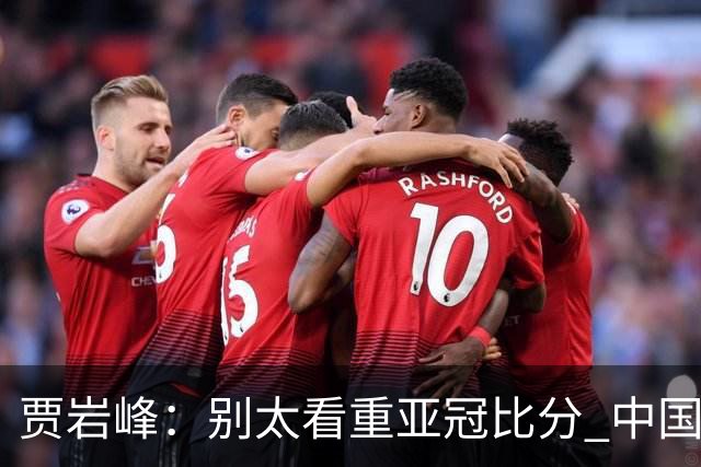 贾岩峰：别太看重亚冠比分 中国足球活着更重要